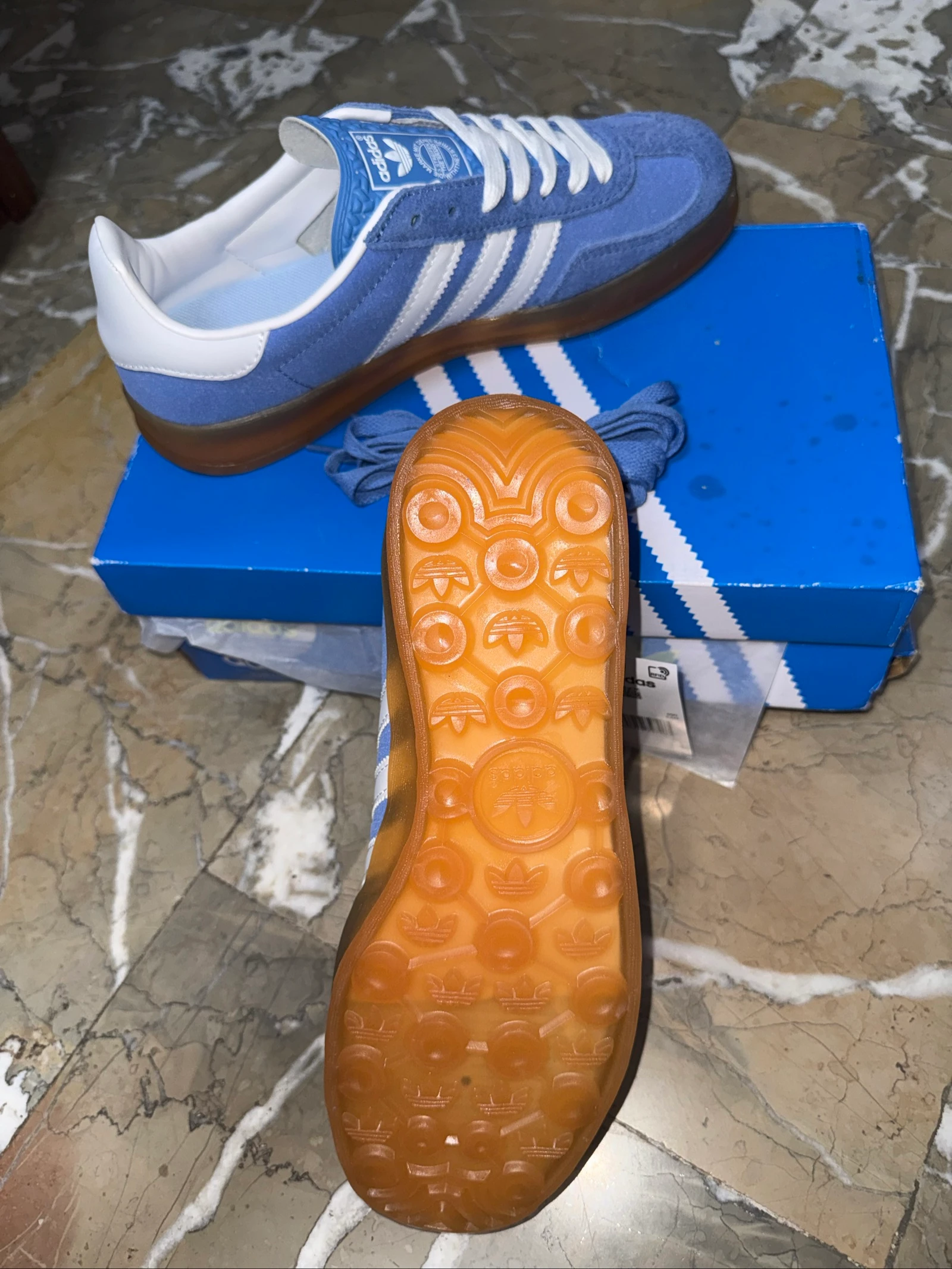 Gazelle – photo 4